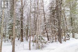 0 RAYMOND ROAD  Laurentian Hills, ON K0H 2H0