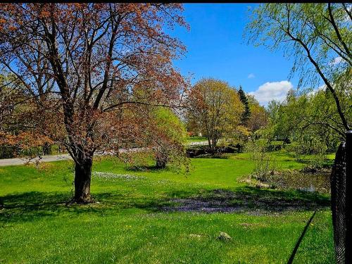 3 Reagh Avenue, Middleton, NS 