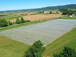 25-1 28B Mines Road  Upper Falmouth, NS B0P 1L0