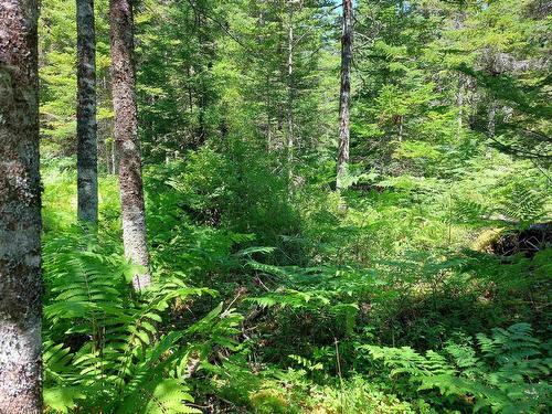 Lot 47E Widow Point Loop, West Bay Marshes, NS 