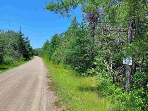 Lot 47E Widow Point Loop, West Bay Marshes, NS 