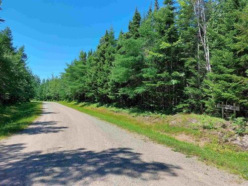 Lot 47E Widow Point Loop, West Bay Marshes, NS 