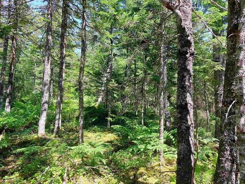 Lot 47E Widow Point Loop, West Bay Marshes, NS 