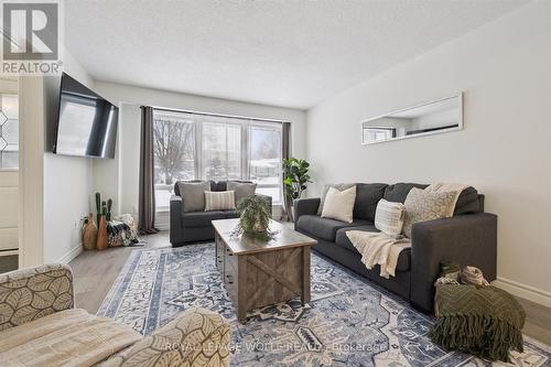 11 Ingleside Drive, Kitchener, ON - Indoor Photo Showing Living Room