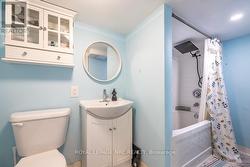 lower level bathroom - 