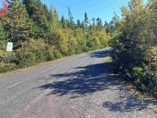 Lot 18 Torus Dr, Macnabs Cove, NS 