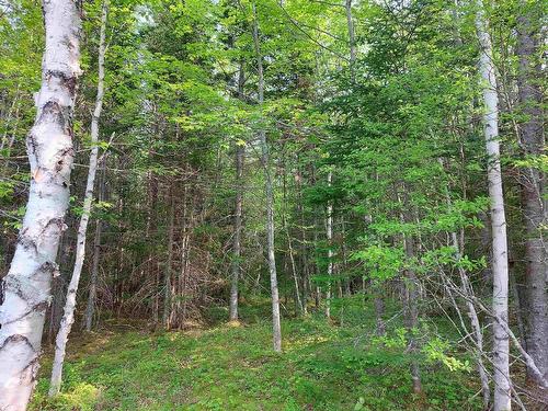 Lot 18 Torus Dr, Macnabs Cove, NS 