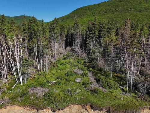Cabot Trail, Wreck Cove, NS 