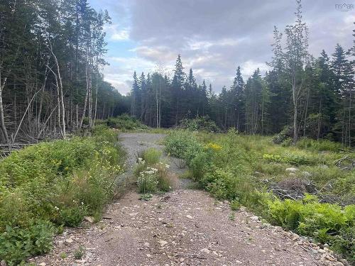 Cabot Trail, Wreck Cove, NS 