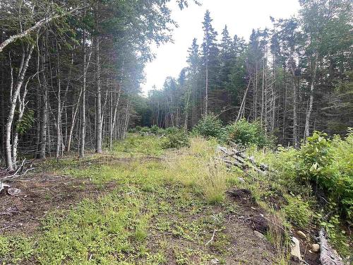 Cabot Trail, Wreck Cove, NS 