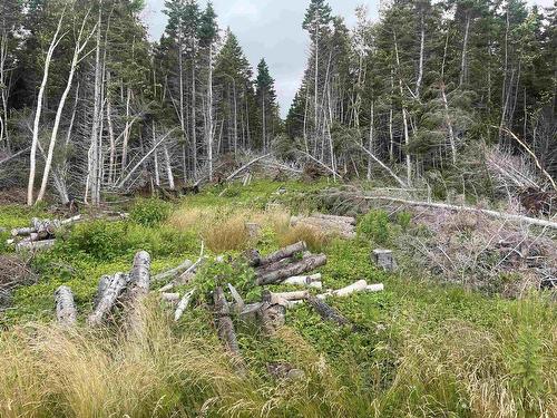 Cabot Trail, Wreck Cove, NS 