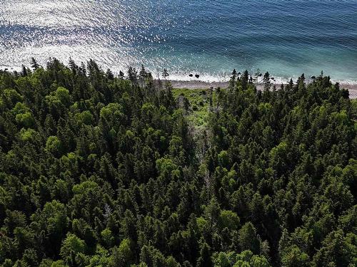 Cabot Trail, Wreck Cove, NS 