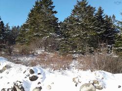 Lot Station Road  Shag Harbour, NS B0W 3B0