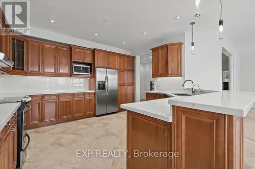 93 Tremaine Drive, Kitchener, ON - Indoor Photo Showing Kitchen