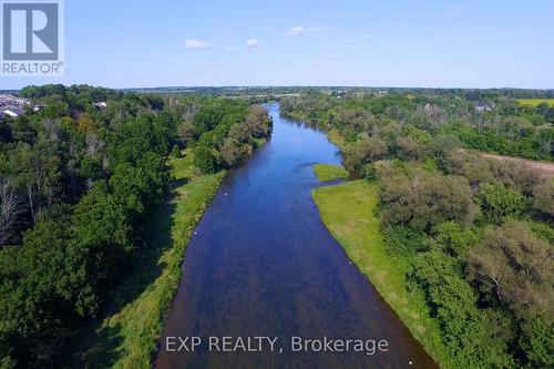 93 Tremaine Drive, Kitchener, ON - Outdoor With View