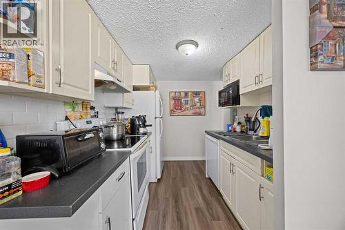 unit 3 kitchen - 11254 6 Street Sw, Calgary, AB - Indoor Photo Showing Kitchen