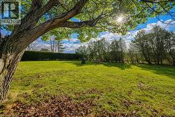 View of grassy yard - 