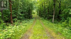 3 KINGFISHER ROAD  Mcdougall, ON P2A 2W9