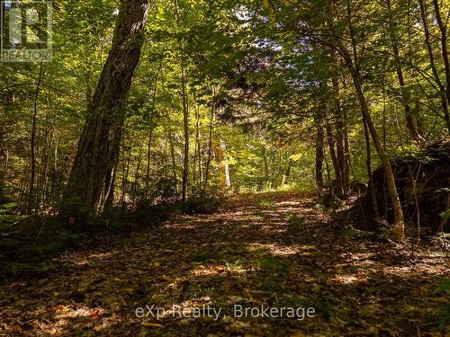 4 Fire Route 140 (Turtle Lane) Lane, Mckellar, ON - Outdoor With View