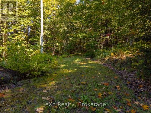 4 Fire Route 140 (Turtle Lane) Lane, Mckellar, ON - Outdoor