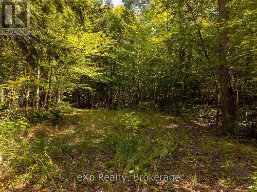 4 Fire Route 140 (Turtle Lane) Lane, Mckellar, ON - Outdoor