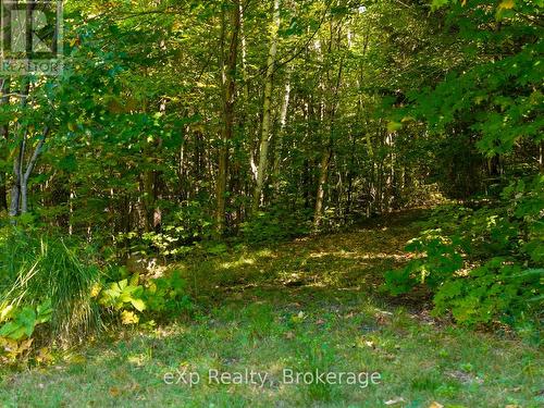 4 Fire Route 140 (Turtle Lane) Lane, Mckellar, ON - Outdoor