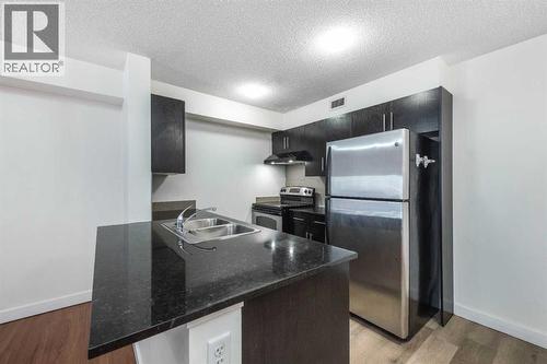 217, 7130 80 Avenue Ne, Calgary, AB - Indoor Photo Showing Kitchen With Double Sink