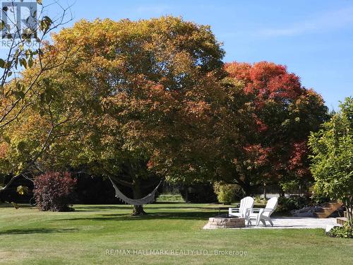 13551 Concession 5 Road, Uxbridge, ON - Outdoor