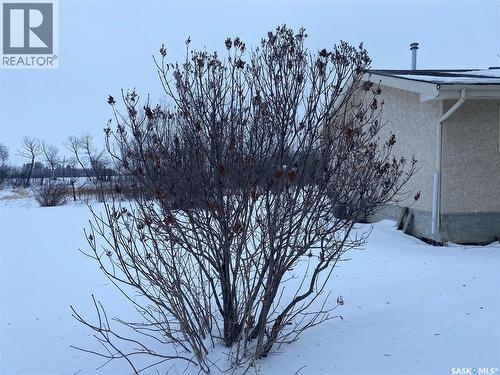 Kisil Estate Farm, St. Louis, SK 