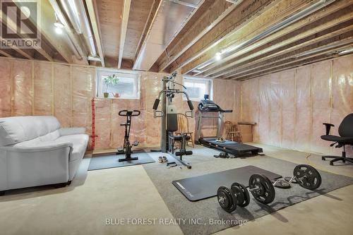 2190 Bakervilla Street, London South (South V), ON - Indoor Photo Showing Gym Room