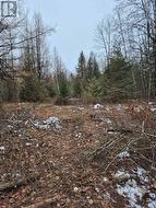 Private sandy knoll set back, ready to build. - 
