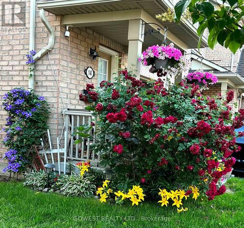 14 - 3150 Erin Centre Boulevard, Mississauga, ON - Outdoor