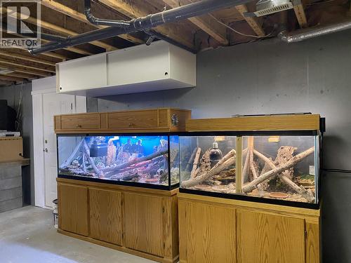 5270 Mackay Crescent, 108 Mile Ranch, BC - Indoor Photo Showing Basement
