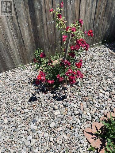 119 Finn Court, Ottawa, ON - Outdoor