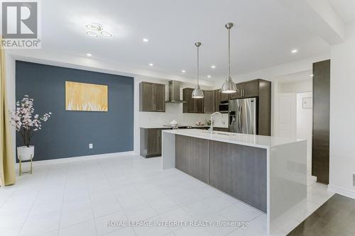 719 Samantha Eastop Avenue, Ottawa, ON - Indoor Photo Showing Kitchen With Stainless Steel Kitchen With Upgraded Kitchen