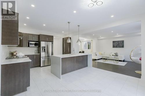 719 Samantha Eastop Avenue, Ottawa, ON - Indoor Photo Showing Kitchen With Stainless Steel Kitchen With Upgraded Kitchen