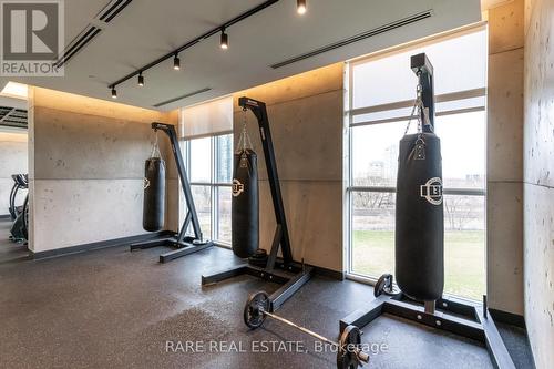 1209 - 251 Manitoba Street, Toronto, ON - Indoor Photo Showing Gym Room