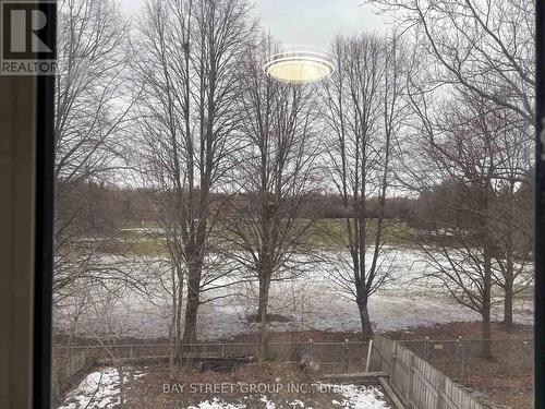 44 Lilac Avenue, Markham, ON - Outdoor With View