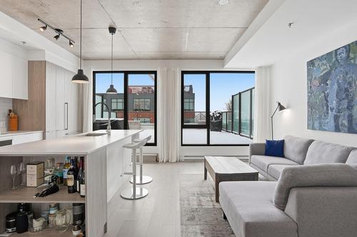 Vue d'ensemble - 609-75 Rue De Castelnau O., Montréal (Villeray/Saint-Michel/Parc-Extension), QC - Indoor Photo Showing Living Room