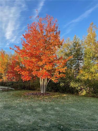 91 Amiens Dr, Moncton, NB 