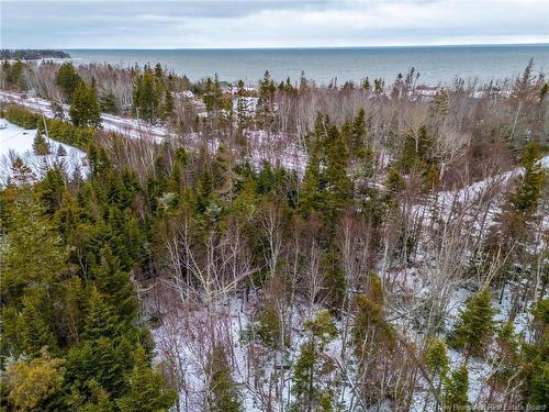 Lot Johnston Point Rd, Johnston Point, NB 