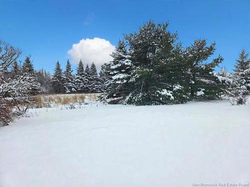 3758 Route 490, Gladeside, NB 