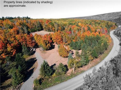 3100 Route 910, Baltimore, NB 