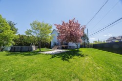 Courtyard - 