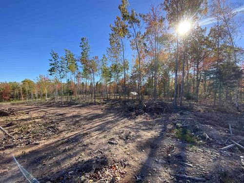 300 Lane Cross Road, Lanesville, NS 