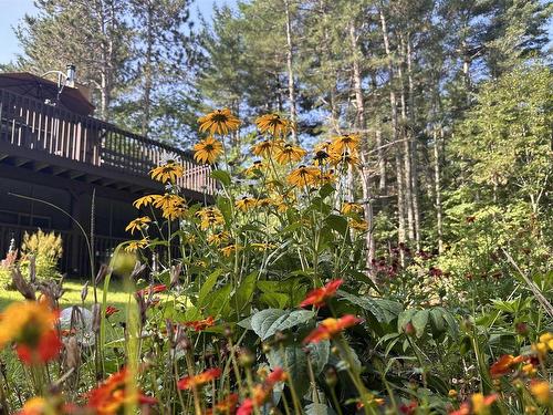 1800 Cartier Court, Kingston, NS 