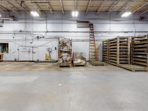 255 George Street, Sydney, NS 