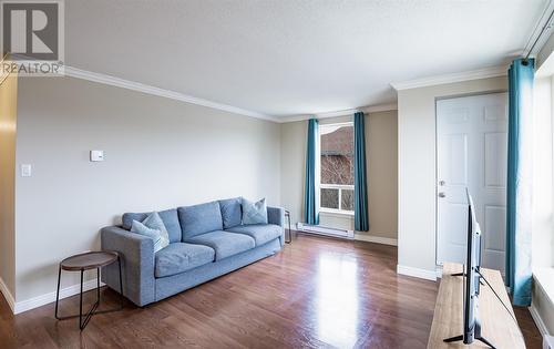 21 Lanse Aux Meadows Crescent Unit#313, St. John'S, NL 