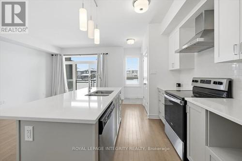 41 Carabiner Private, Ottawa, ON - Indoor Photo Showing Kitchen With Stainless Steel Kitchen With Double Sink With Upgraded Kitchen