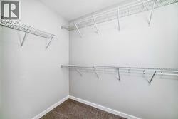Master Walk-In Closet - 